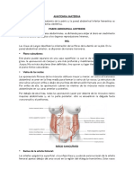 ANATOMIA-MATERNA_1_.docx;filename_= UTF-8''ANATOMIA-MATERNA%20%281%29.docx