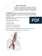 Sindrome Torácico Externo