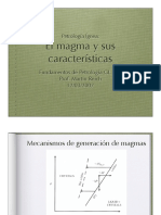 MAGMA.pdf