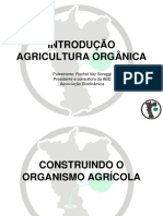 Int Agricultura Organica