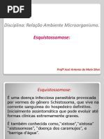 ESQUISTOSSOMOSE
