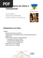Metabolismo Do Cálcio e Fosforo