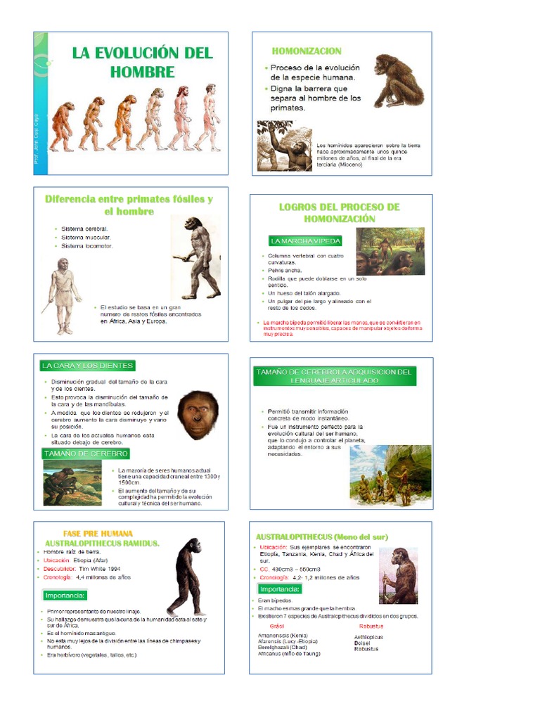 La Evolucion Del Hombre | PDF