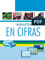 Huehuecifras.pdf