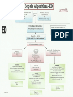 Adult Sepsis Algorithm