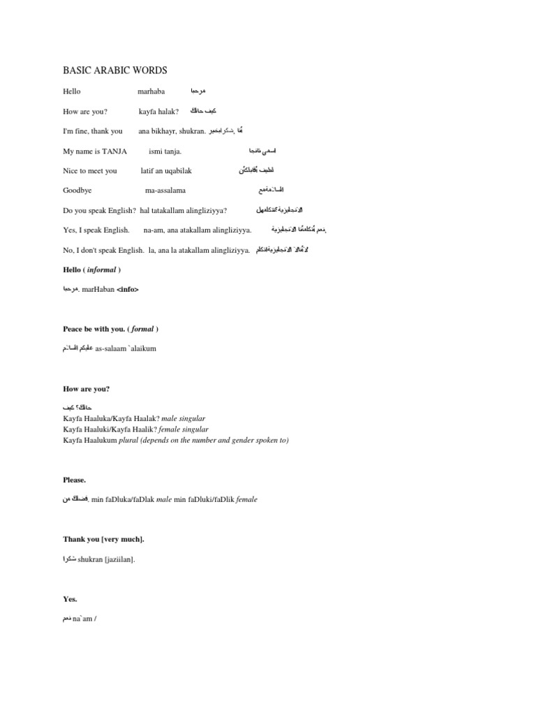 Arabic visual data 6