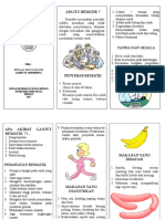 Leaflet Rematik2