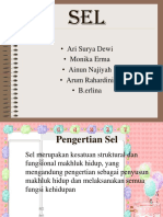 Ari Surya Dewi - Monika Erma - Ainun Najiyah - Arum Rahardini - B.erlina