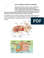 Biología