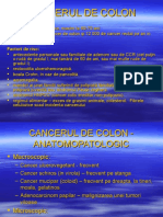 12.Cancer Colon