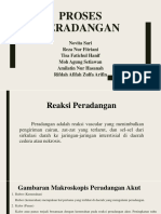 PROSES PERADANGAN