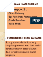 Budidaya Ikan Gurame