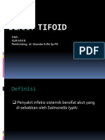 Demam Tifoid