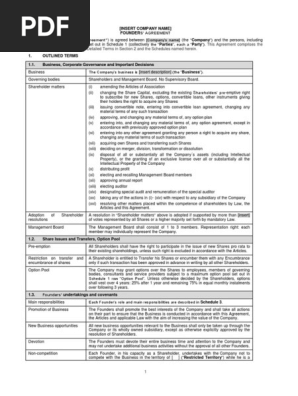 Founders Agreement