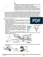 excretor.pdf