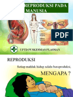 Sistem Reproduksi Dr. Ridwan