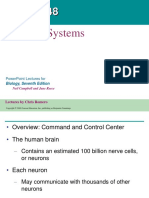 Nervous Systems: Powerpoint Lectures For