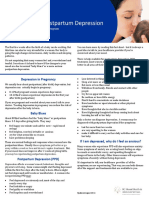 Att 1 RMH Baby Blues & PPD Fact Sheet PDF