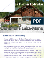 Presentation1 Luiza