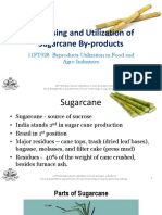 Byproducts From Sugarcane Processing
