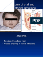 Anatomy of Oral and Maxillofacial Infections