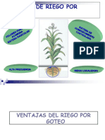 DISENO AGRONOMICO y PLANIFICACION (2).pdf