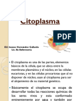 Cito Plasma