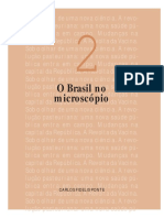 O Brasil no microscópio.pdf