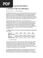 Realidade Agrária Brasileira