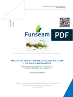 Hacia Un Nuevo Modelo de Negocio de Los Biocarburantes - Funseam (1)