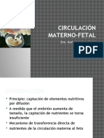 Circulaci N Materno Fetal