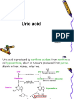 Uric Acid: Xiaoli