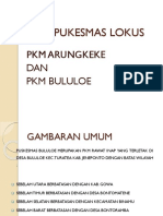 Profil Pukesmas Lokus