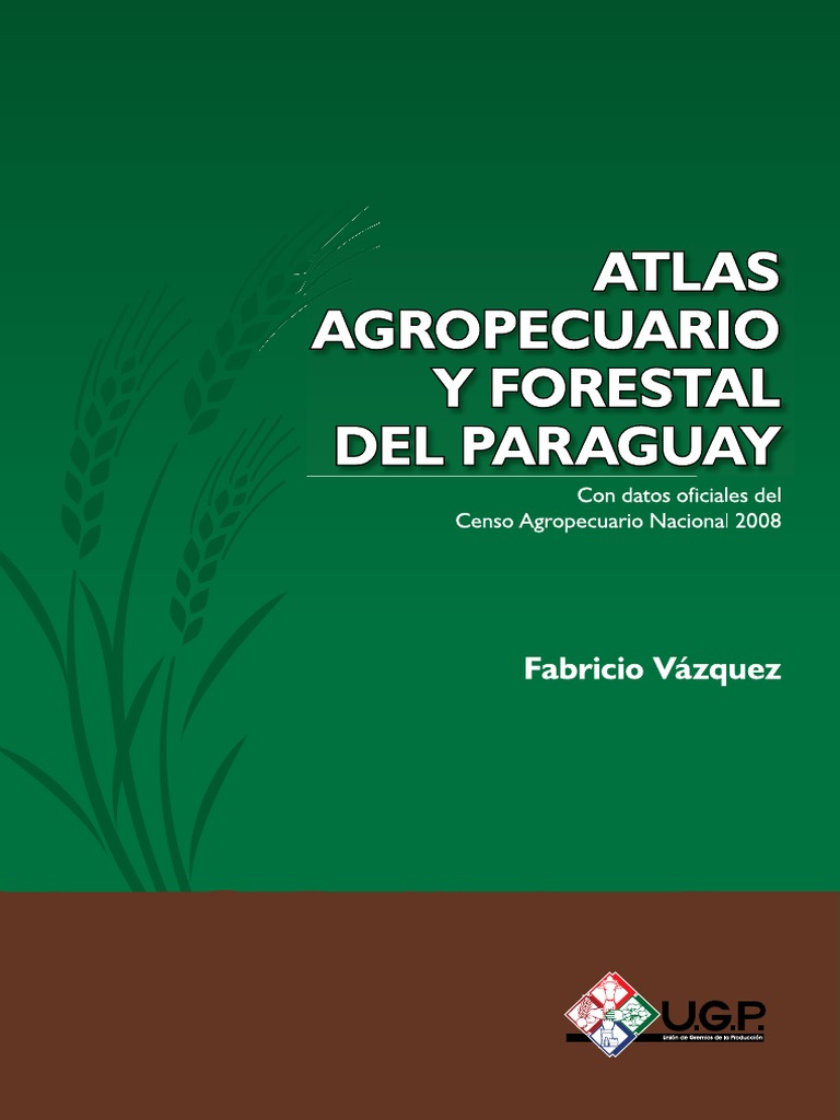Agricultura y Producción en Paraguay | PDF | Ciudad | Área urbana