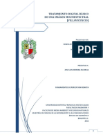 Tratamiento_Digital_Basico_de_una_Imagen.pdf