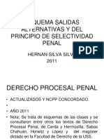 Salidas Alternativas (Apunte Profesor)