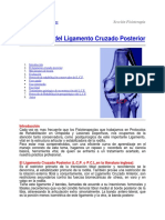fisioterapia_del_ligamento_cruzado_anterior.pdf