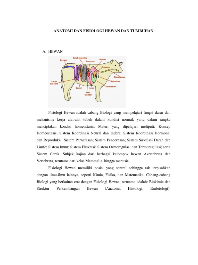540+ Gambar Anatomi Hewan Dan Tumbuhan Terbaik