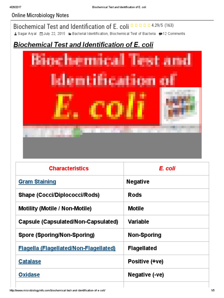 Biochemical Test and Identification of E.pdf Biochemistry Nature