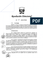 R D N 010-2015-TP-DE.pdf