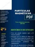 Partícula Magnética