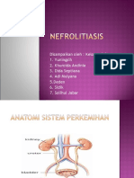 nefrolitiasis.ppt