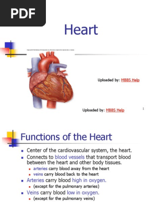 Ch22 Heart