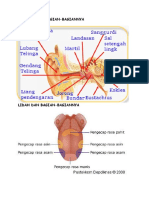Telinga Dan Bagian