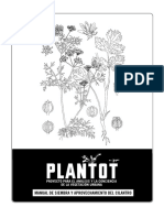 Cilantro PDF