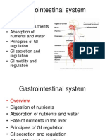 Gastrointestinal System