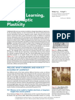 Plasticity Pon - ch10 - Final PDF