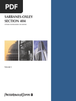 Sarbanes Oxley Section 404-V1