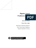 (Amer, R Sales, V.) Àlgebra Lineal. Problemes Resolts PDF