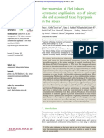 Over-Expression of Plk4 Induces Centrosome Amplification, Loss of Primary Cilia and Associated Tissue Hyperplasia in The Mouse